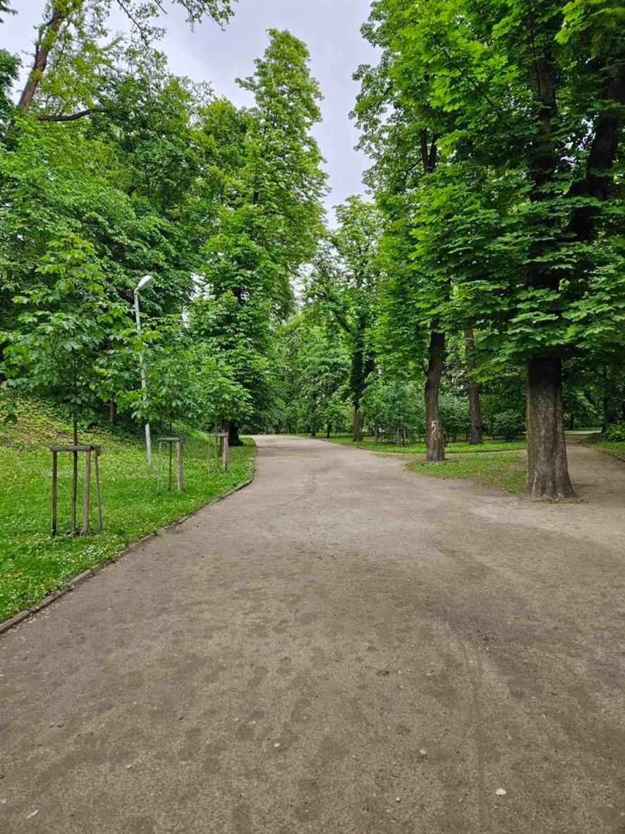 Lion Hill Ξενοδοχείο Λβιβ Εξωτερικό φωτογραφία